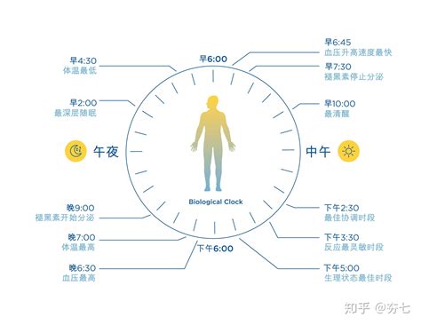 睡觉方位|正确的睡眠方向：科学选择，改善您的睡眠质量